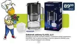 Mrówka Dzbanek szklany Glass oferta