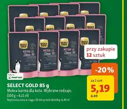 Maxi Zoo Mokra karma dla kota Select Gold oferta