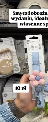 Pepco Smycz dla psa z ozdobą oferta