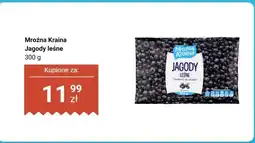 Biedronka Jagody leśne oferta