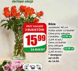 Dino Bukiet róż oferta
