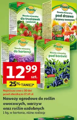 Auchan Nawóz Planta oferta