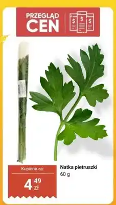 Dino Natka pietruszki oferta