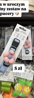 Pepco Obroża dla psa z ozdobą oferta