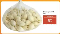 Dino Cebula dymka biała oferta