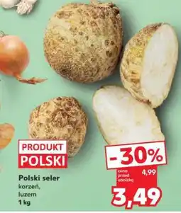 Kaufland Polski seler oferta