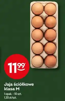 Żabka Jaja ściółkowe klasa M oferta