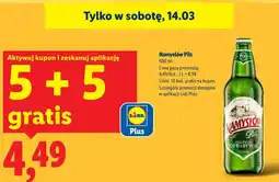 Lidl Namysłów Pils oferta