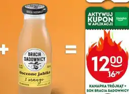 Żabka Kanapka Trójkąt + Sok Bracia Sadownicy oferta