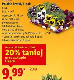 Lidl Polskie bratki, 6-pak oferta
