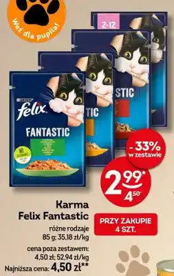 Żabka Karma Felix Fantastic różne rodzaje oferta