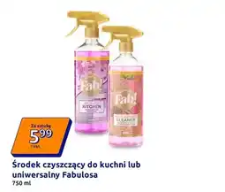 Action Środek czyszczący do kuchni lub uniwersalny oferta