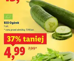 Lidl Ogórek bio oferta