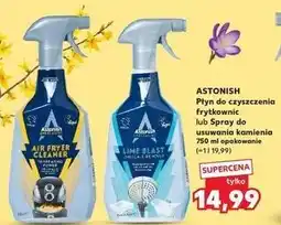 Kaufland Płyn do czyszczenia frytkownic lub Spray do usuwania kamienia oferta