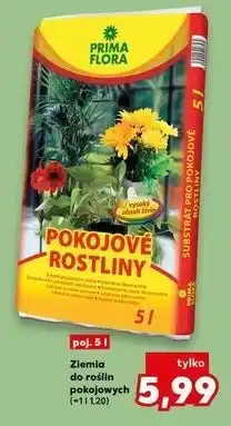 Kaufland Ziemia do roślin pokojowych oferta