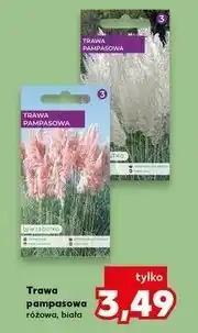 Kaufland Trawa pampasowa różowa, biała oferta
