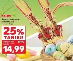 Kaufland Tradycyjna palma wielkanocna różne rodzaje oferta