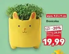 Kaufland Doniczka wym. 9,3 x 9 cm oferta
