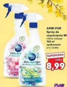 Kaufland Spray do czyszczenia WC oferta