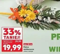 Kaufland Palma wielkanocna różne rodzaje oferta