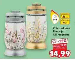 Kaufland Znicz szklany Forsycja lub Magnolia oferta