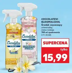 Kaufland Środek czyszczący uniwersalny Bloomalcool oferta