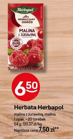 Żabka Herbata Herbapol oferta