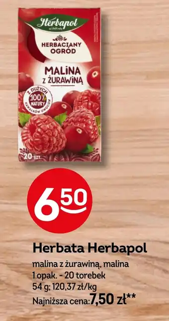 Żabka Herbata Herbapol oferta