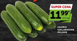 ABC Ogórki szklarniowe polskie oferta
