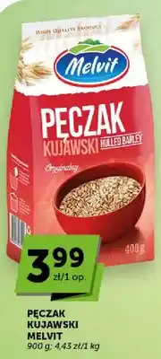 ABC Pęczak kujawski oryginalny oferta