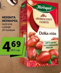 ABC Herbata Herbaciany Ogród dzika róża oferta