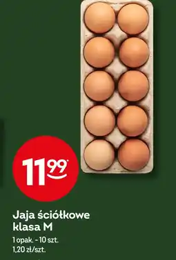 Żabka Jaja oferta