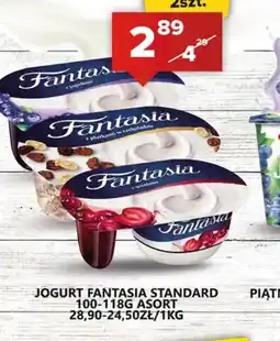 Spiżarnia Smakosza Jogurt Fantasia Standard oferta