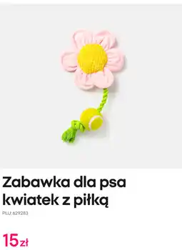 Pepco Zabawka dla psa kwiatek z piłką oferta