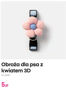 Pepco Obroża dla psa z kwiatem 3D oferta