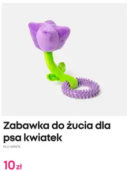 Pepco Zabawka do żucia dla psa kwiatek oferta