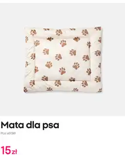 Pepco Mata dla psa oferta