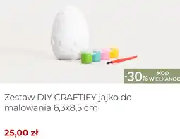 Homla Zestaw DIY CRAFTIFY jajko do malowania 6,3x8,5 cm oferta