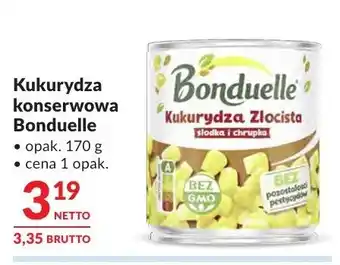 Makro Kukurydza konserwowa Bonduelle oferta