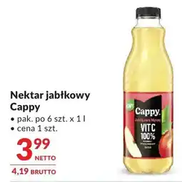 Makro Nektar jabłkowy różne smaki oferta