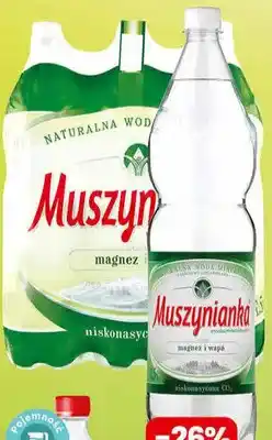 Dino Woda mineralna niskonasycona oferta