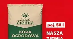 Kaufland Kora ogrodowa oferta