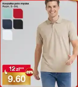 Woolworth Koszulka polo męska oferta