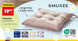 Biedronka Poduszka na krzesło oferta