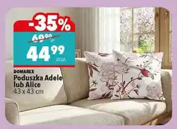 Biedronka Poduszka Adele lub Alice oferta