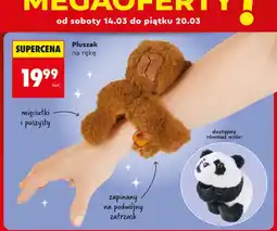 Biedronka Pluszak na rękę oferta