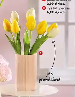 Biedronka Bukiet sztucznych kwiatów: tulipany 30 cm oferta