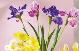 Biedronka Sztuczne kwiaty irys lub peonia oferta