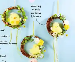 Biedronka Wianek wiosenny na drzwi lub okno oferta