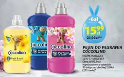 Arhelan Płyn do płukania Perfume & Care Glamorous Plumeria oferta